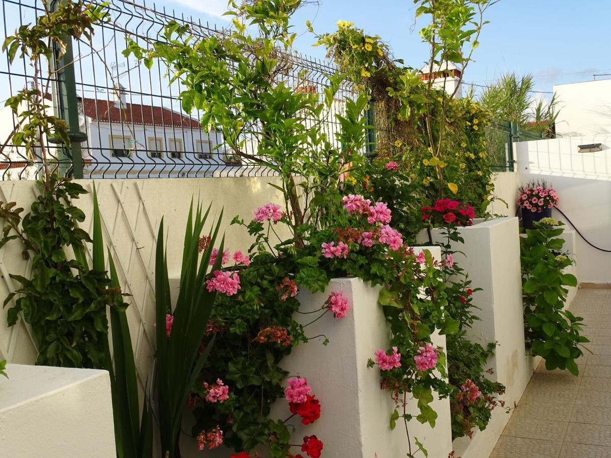 Casa Dos 2 Patios By Stay In Alentejo Vila Nova de Milfontes Exterior foto
